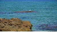 Photo Texture of Background Castellammare 0013